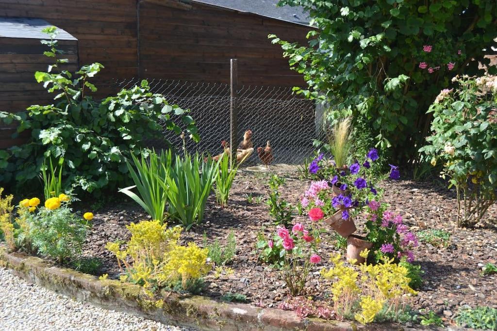Ti Mad Entre Saint-malo Et Le Mont St Michel Holiday home *